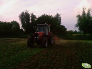 Massey  Ferguson  3090 + gruber