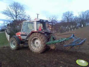 Massey Ferguson 3090 + Kultywator 2,8m