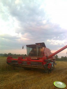 Massey ferguson 31 xp