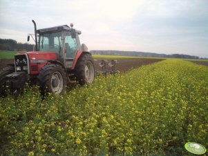 Massey Ferguson 3120 