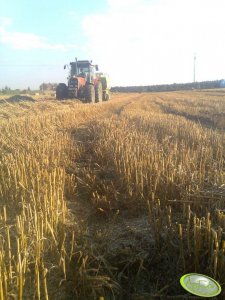 Massey Ferguson 3120