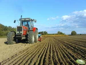 Massey Ferguson 3125 & Niemeyer+Isaria