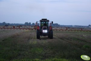 Massey-ferguson 3125 & Tadeusz