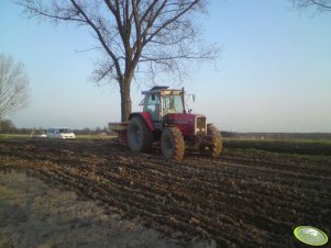 Massey Ferguson 3125 + Vicon