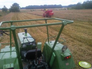 Massey Ferguson 31