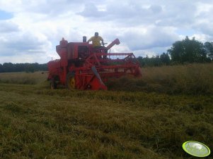 Massey Ferguson 31