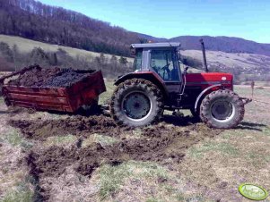 Massey Ferguson 3635 + rozrzutnik MF