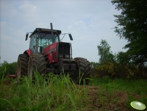 Massey Ferguson 3635