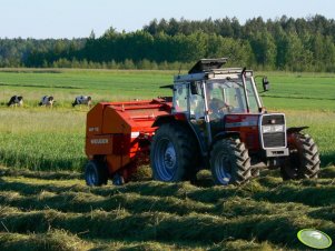 Massey Ferguson 390 + Welger rp12