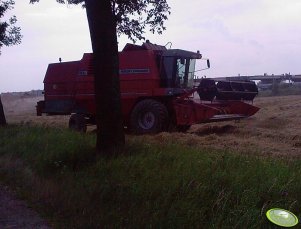 Massey Ferguson 40