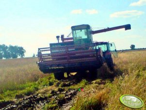 Massey Ferguson 530L