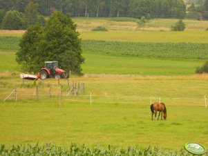 Massey Ferguson 5430 + Kuhn