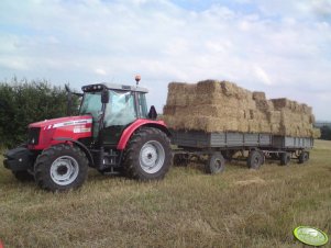 Massey Ferguson 5455 + 2 przyczepki