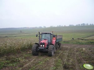 Massey Ferguson 5465 z przyczepa