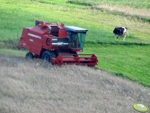 Massey Ferguson 560