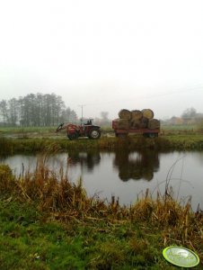 Massey Ferguson 590 + przyczepa HW