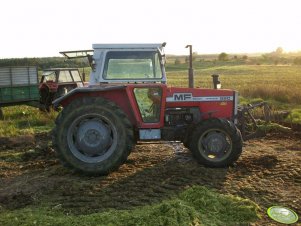 Massey Ferguson 590