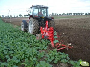 Massey Ferguson 6260 