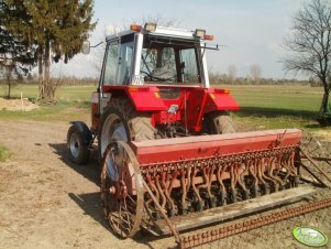 Massey Ferguson 675 + siewnik