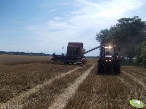 Massey Ferguson 7256 + Pronar 1025A