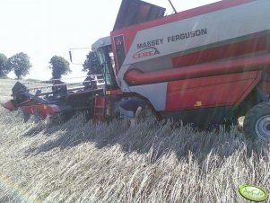 Massey Ferguson 7256