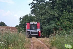 Massey Ferguson 7274 Carea