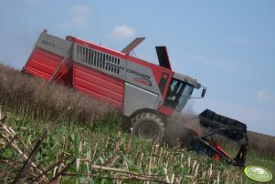 Massey Ferguson 7274 Carea