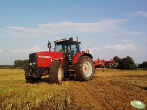 Massey Ferguson 8140 & POM Brodnica 1