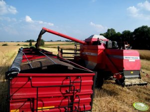 Massey Ferguson Activa 7244 & Wielton 