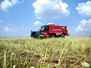 Massey Ferguson Activa 7244