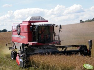 Massey Ferguson Activa 7244