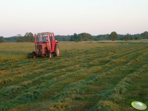 Massey Ferguson265