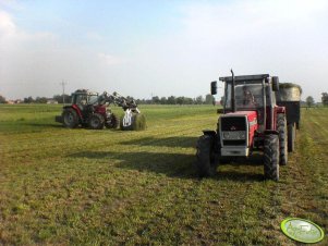 Massey Ferguson