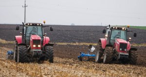 Massey Ferguson 6499 & Massey Ferguson 6485