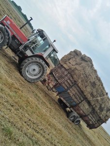 Massey Ferguson