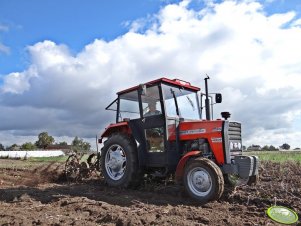 Massez Ferguson 255 + Agromet