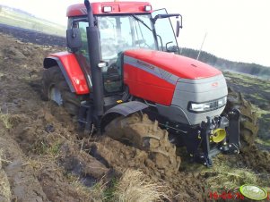 McCormick MTX 135