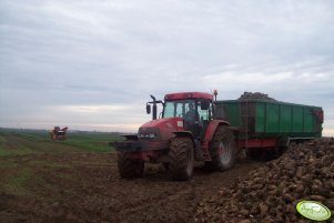 McCorrmick MC135 + przyczepa