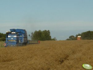 MDW Ernte Meister 525 i Bizon Z056