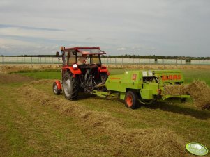 MF-255 + Claas Markant 40