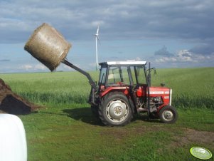 MF 255 i Ładowacz na podnośnik