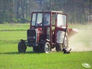 MF 255 i Lely