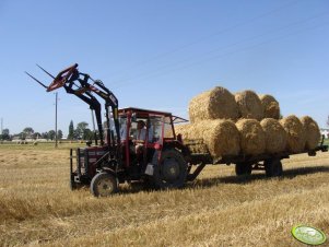 MF 255 + TUR 3b + przyczepa do bel