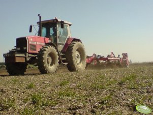 MF 3680 + Horsch Tiger 3m.