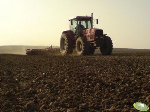 MF 3680 + Vaderstad Rollex 620