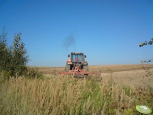 MF 3690 + Agregat uprawny