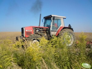 MF 3690 + Agregat uprawny