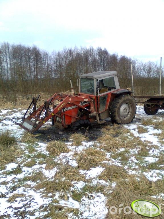 MF 590 - Massey Ferguson - Inne / starsze - Agrofoto.pl Forum Rolnicze ...