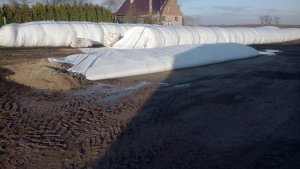 Młóto browarniane w rękawie