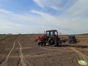 MTZ 80 + agregat upr-siew